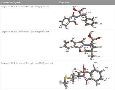 Chiral phthalimides against penicillin-binding protein 2a of methicillin-resistant Staphylococcus aureus: molecular docking and in vitro analysis